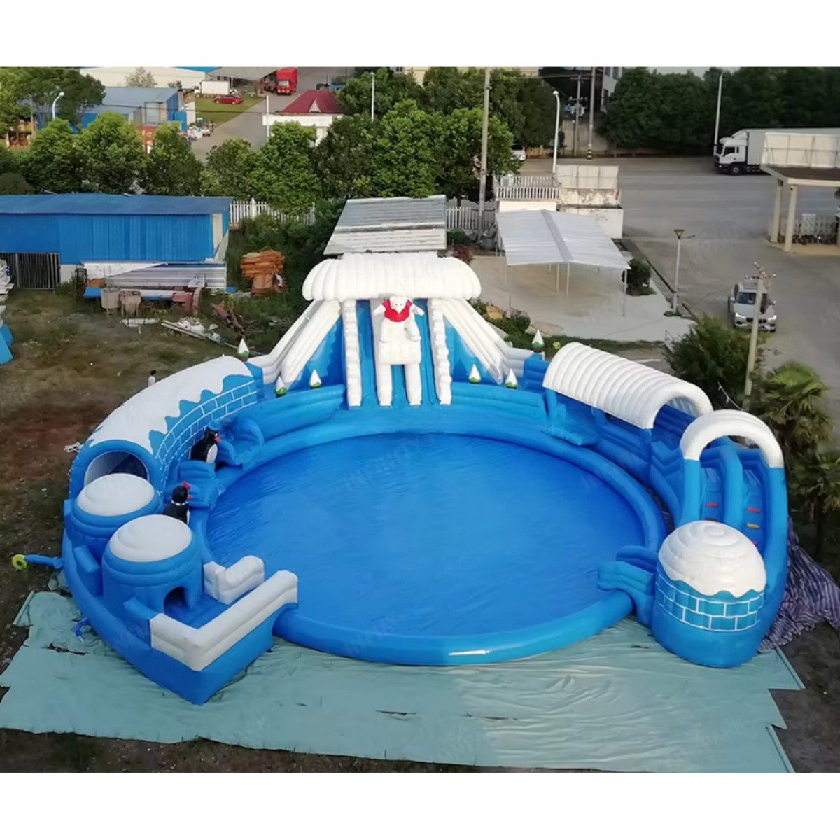 Polar Bear pool 4