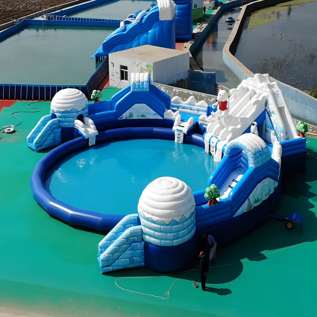Polar Bear pool 5