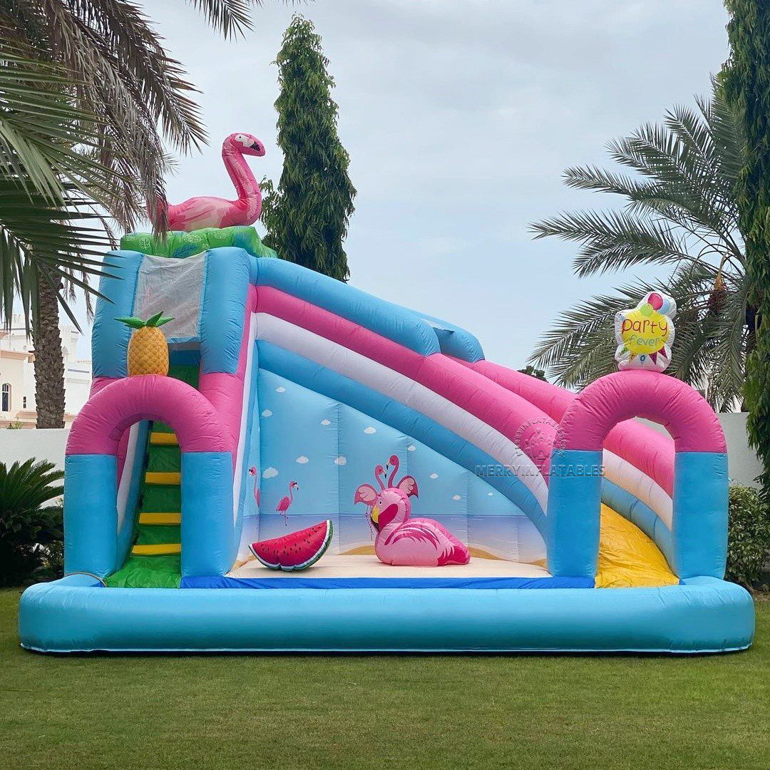 flamingo water slide 3