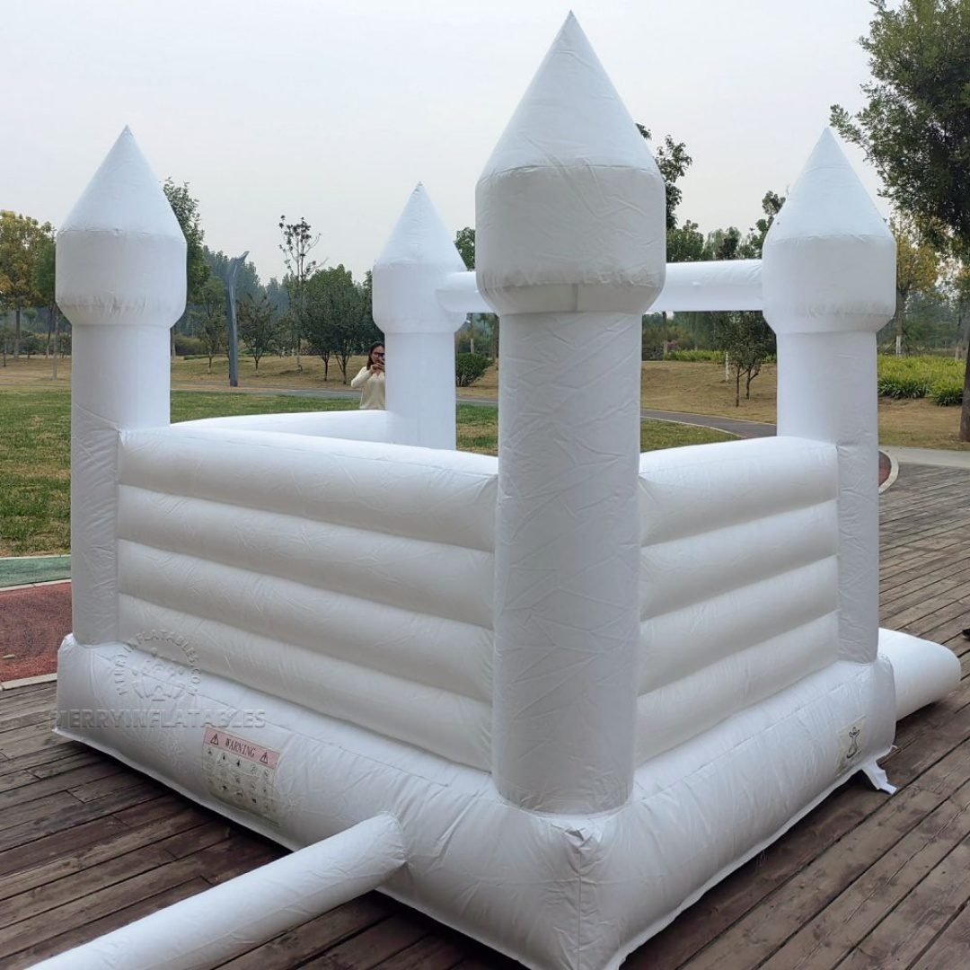 white castle with pool 4_1