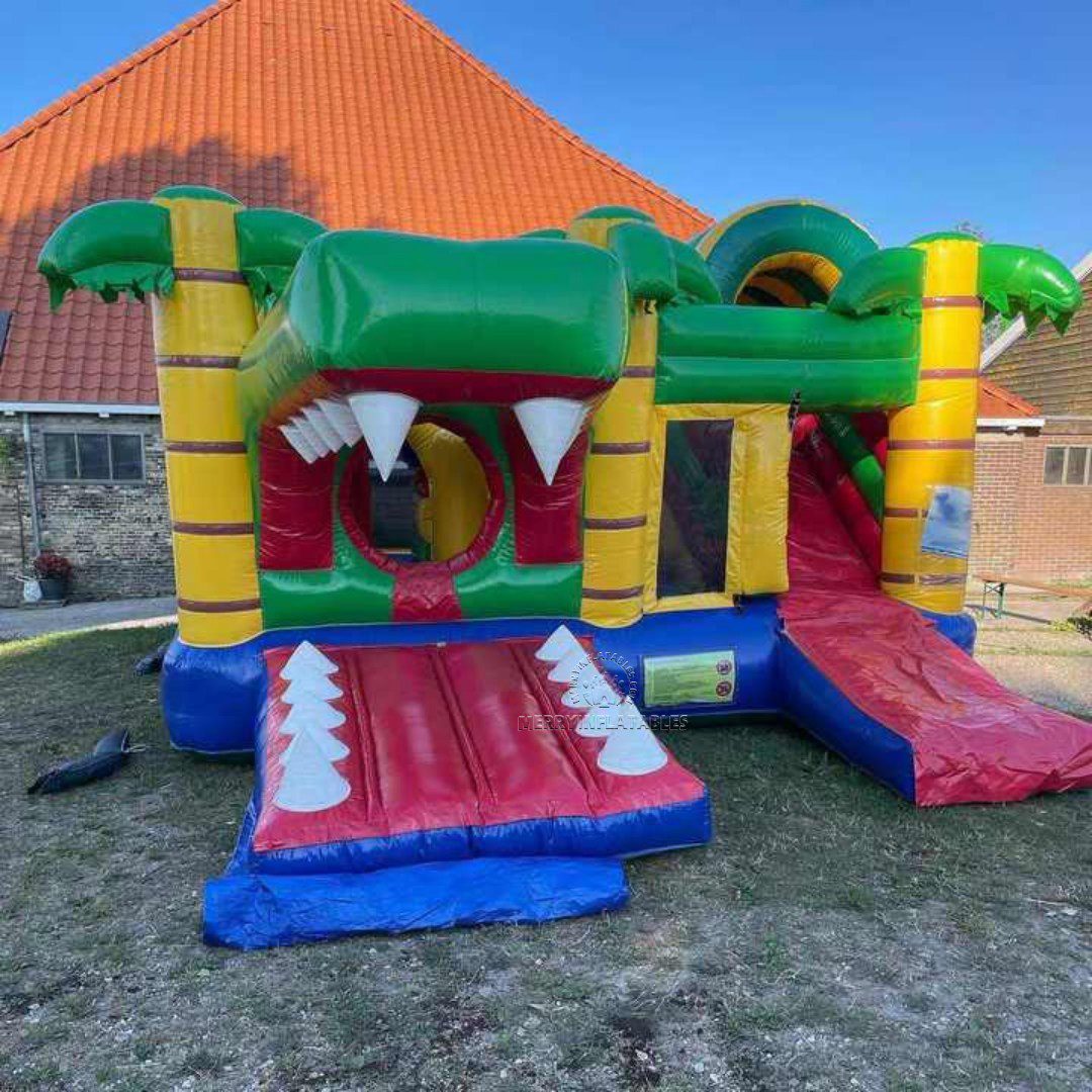 crocodile bounce4