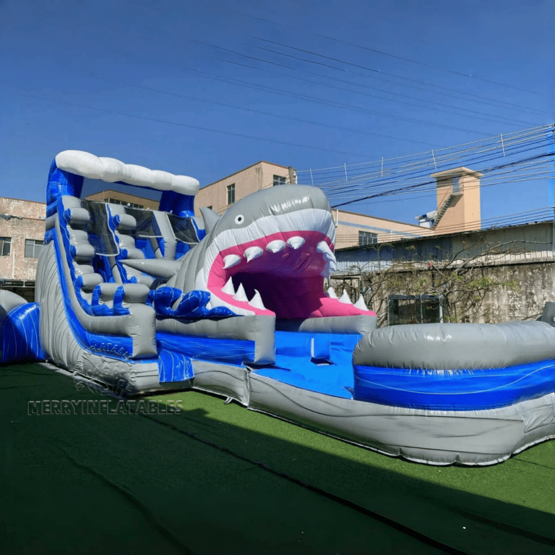 Big shark slide 1