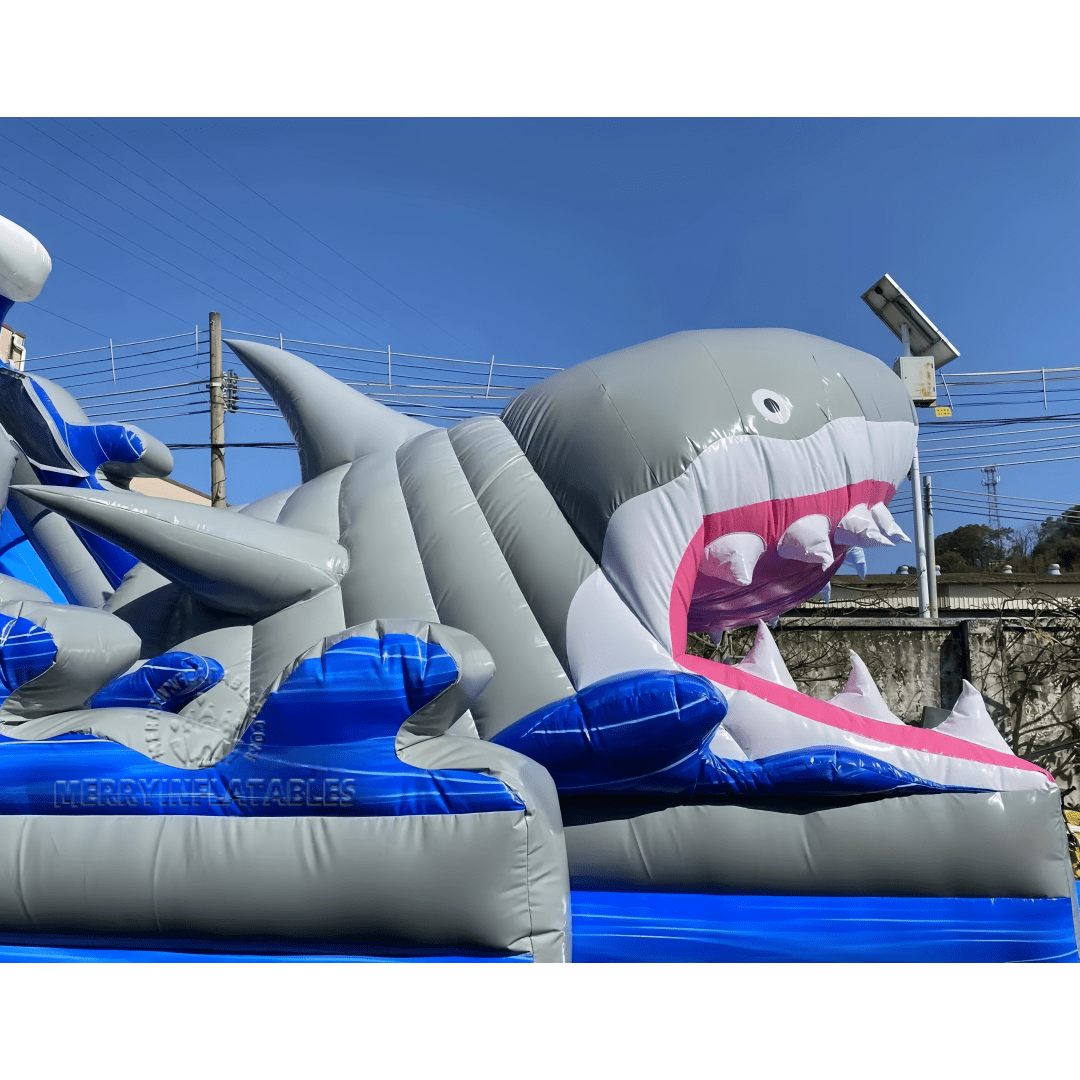 Big shark slide 2