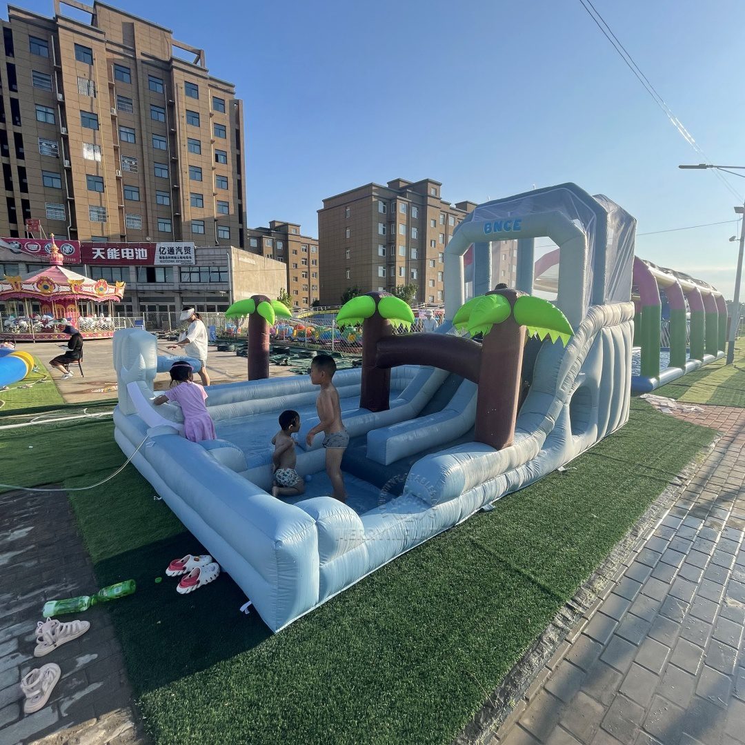 dophin waterslide1