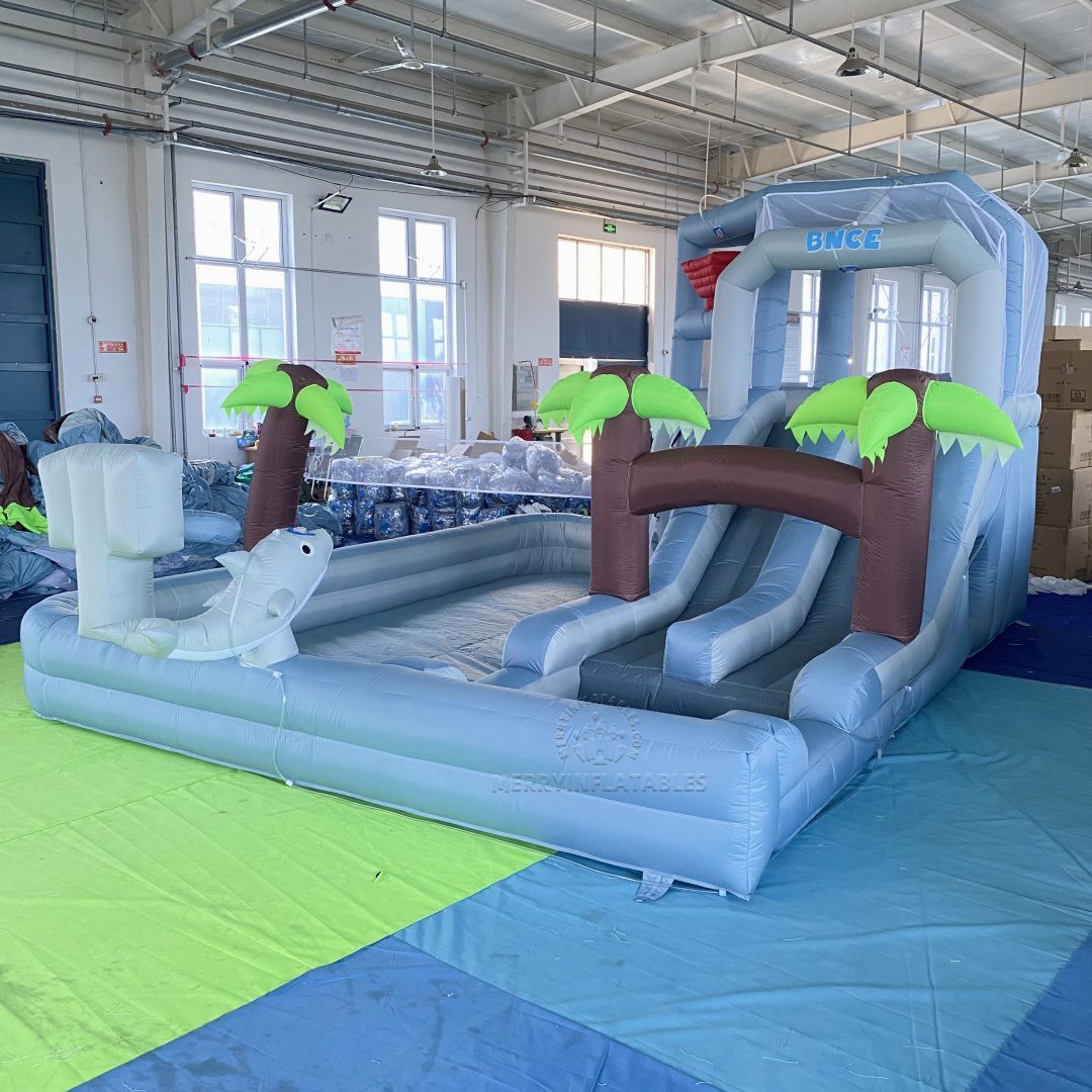 dophin waterslide6