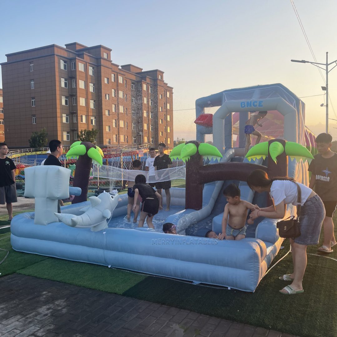 dophin waterslide8