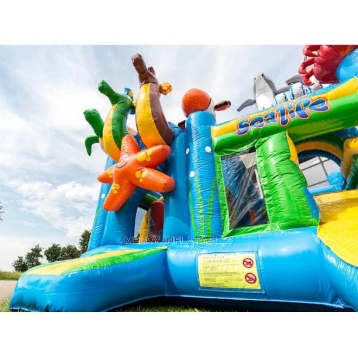 sealife bounce4