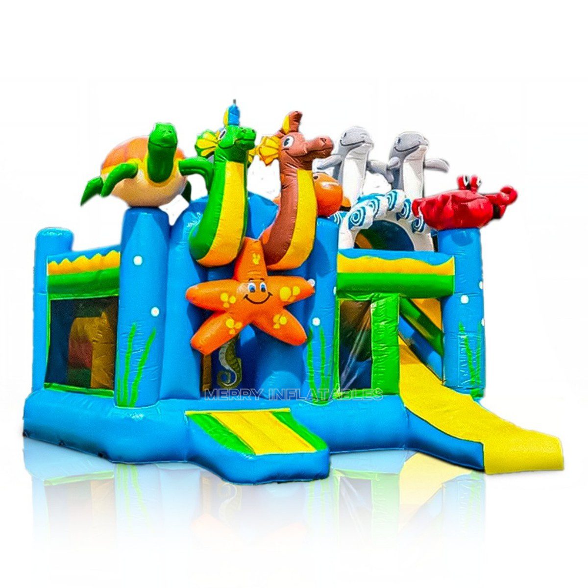 sealife bounce8