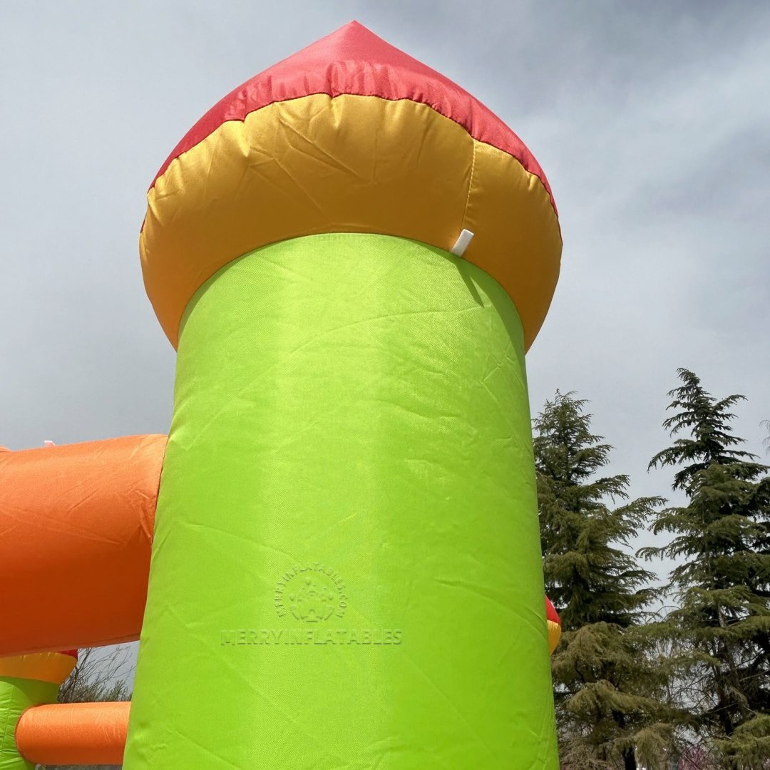 Multicolor Bouncrer 13_1
