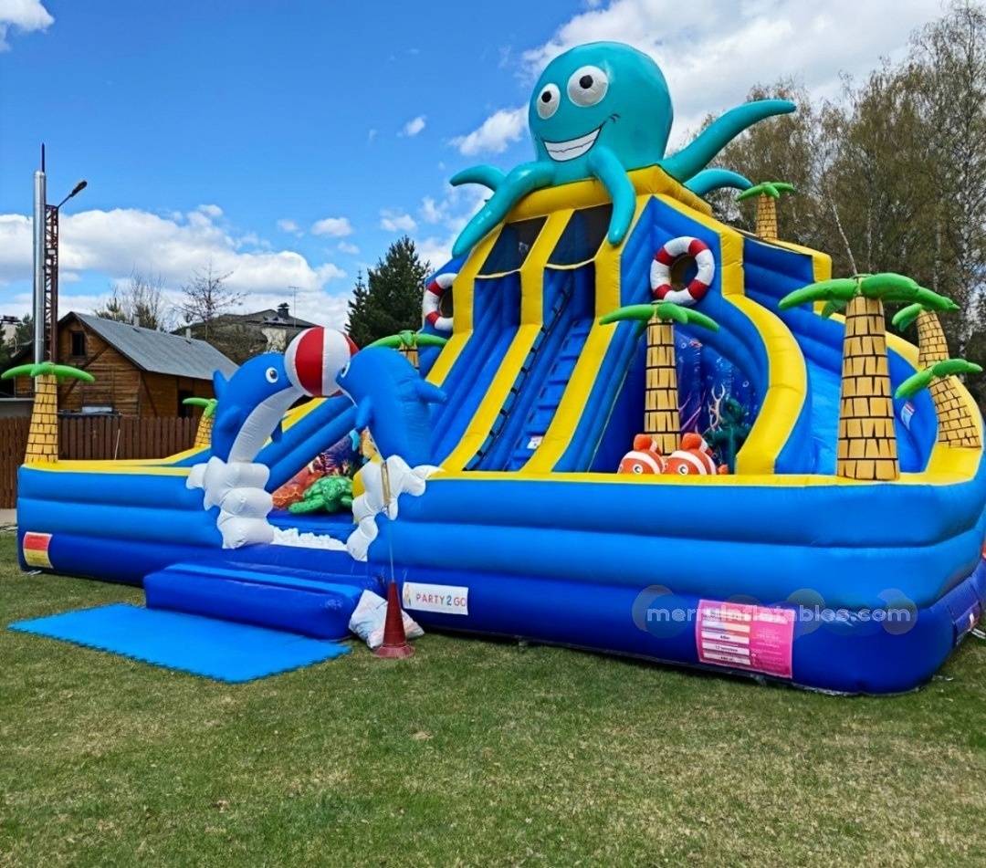 octopus water slide 3_1