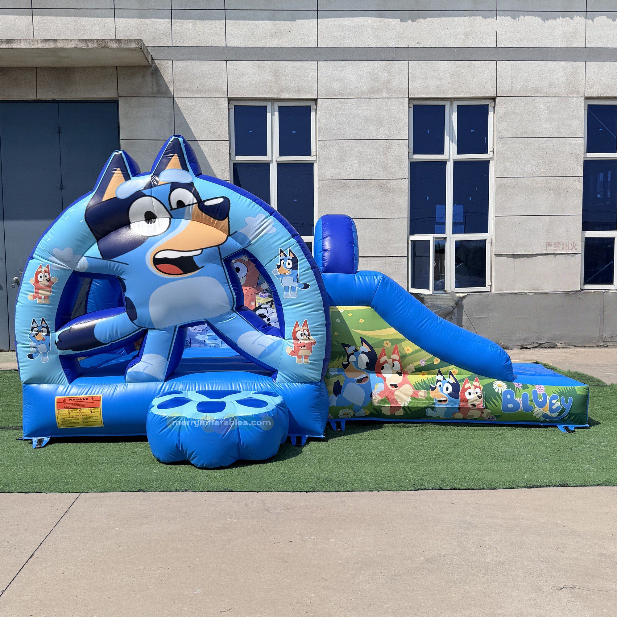 Bluey new 2