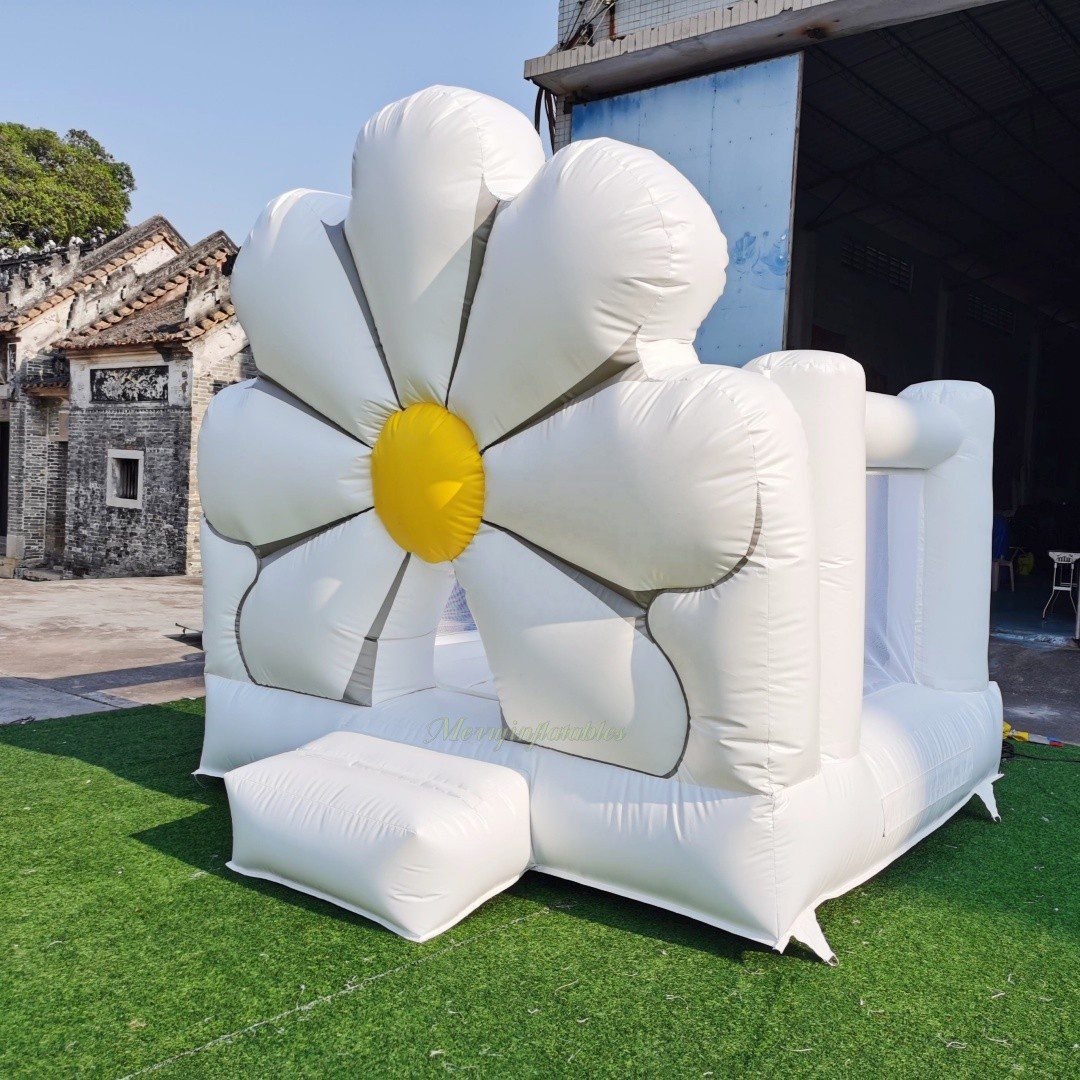 daisy house 2