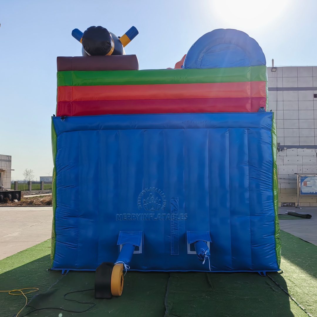 mushroom slide 2