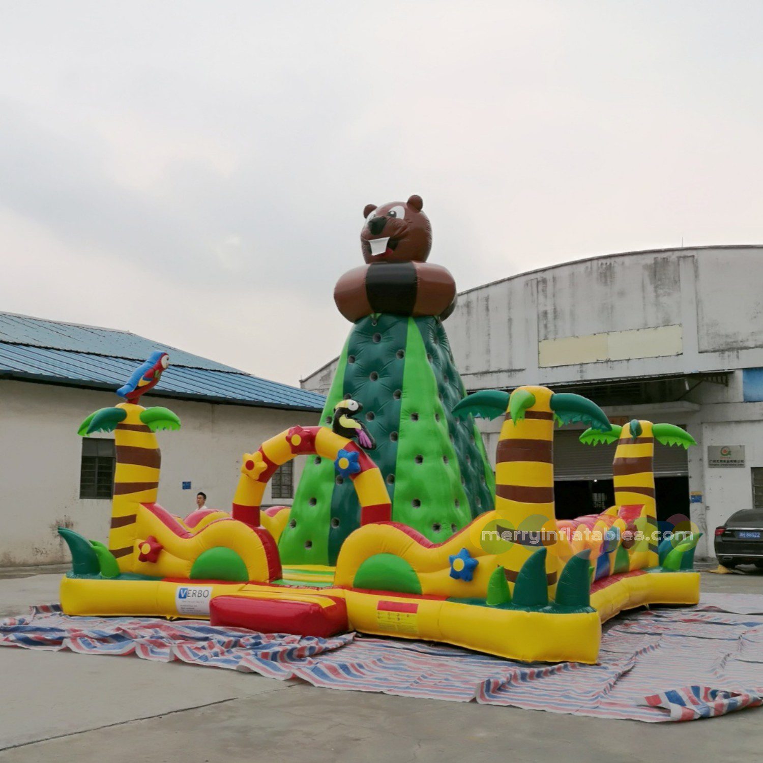 Bear Climbing 3