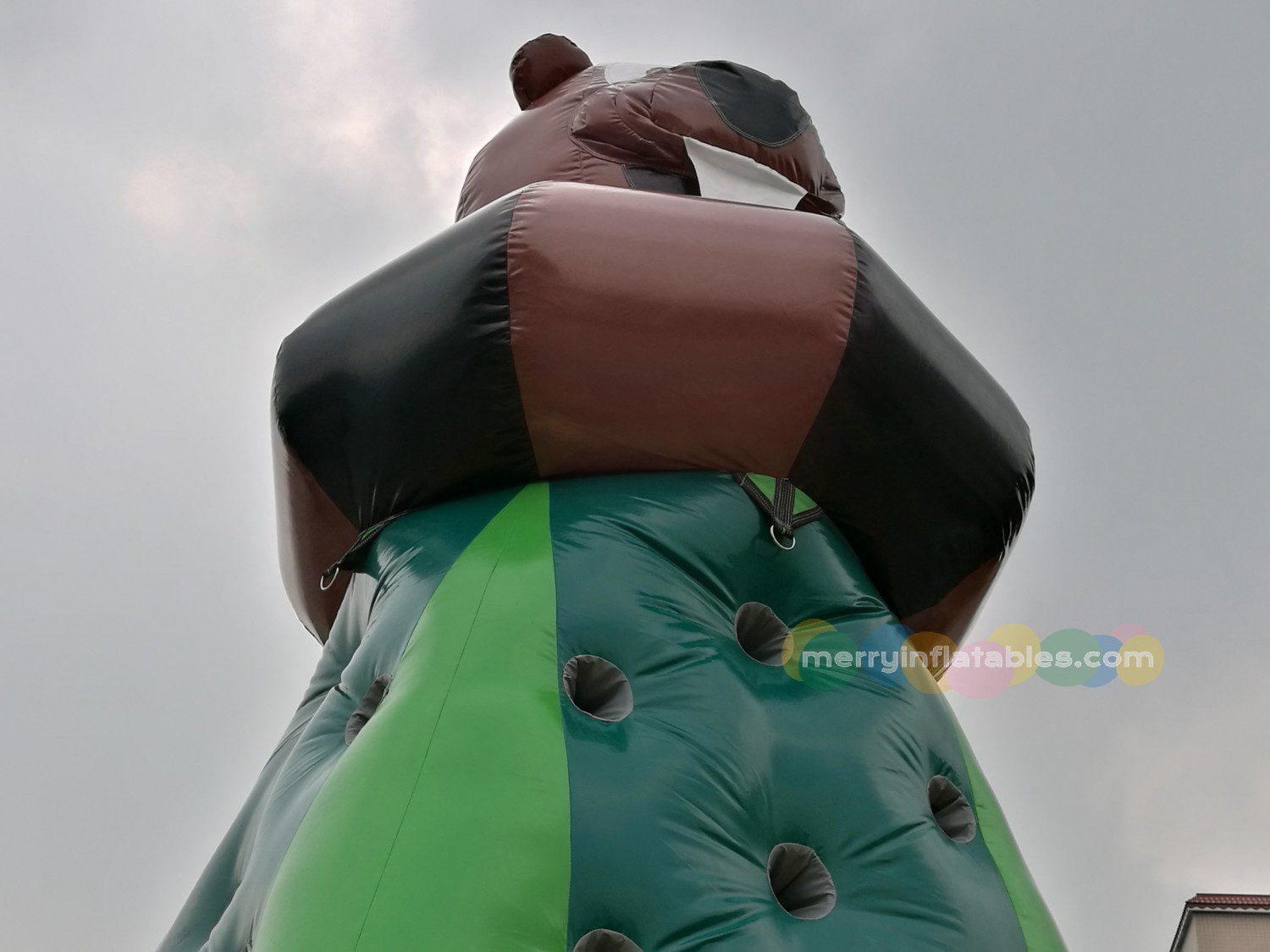 Bear Climbing 4