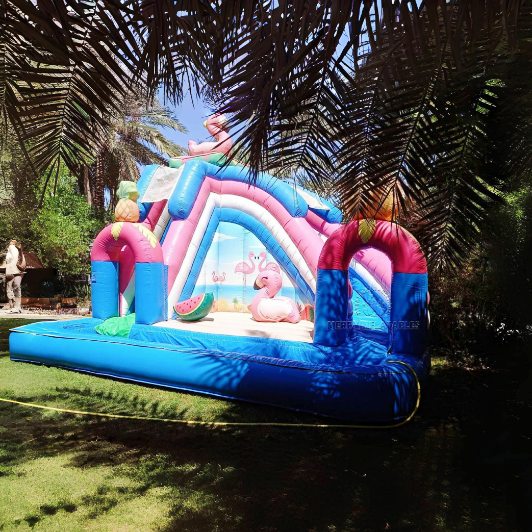 flamingo water slide 2