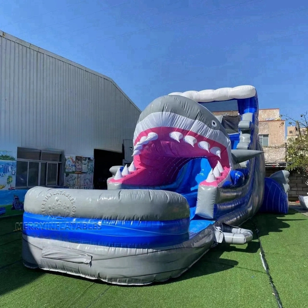 Big shark slide 4