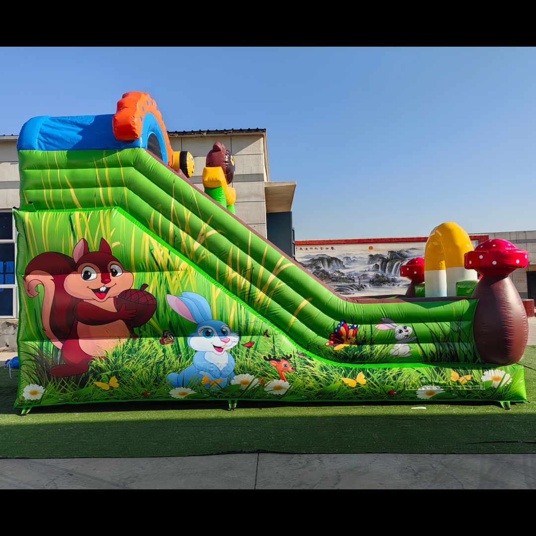 mushroom slide 1